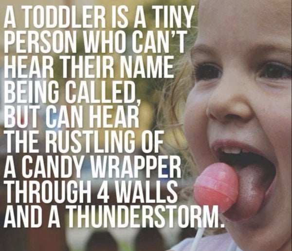 funny Toddler Meme