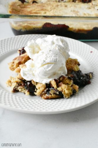 3 Ingredient Blackberry Dump Cake Recipe - ConservaMom