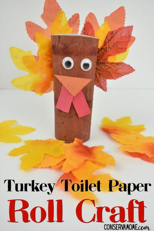 turkey-toilet-paper-roll-craft-a-thanksgiving-craft-idea