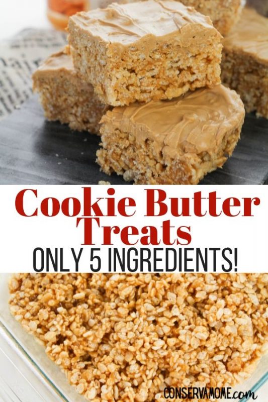 Delicious Cookie Butter Bars - Only 5 Ingredients! - ConservaMom