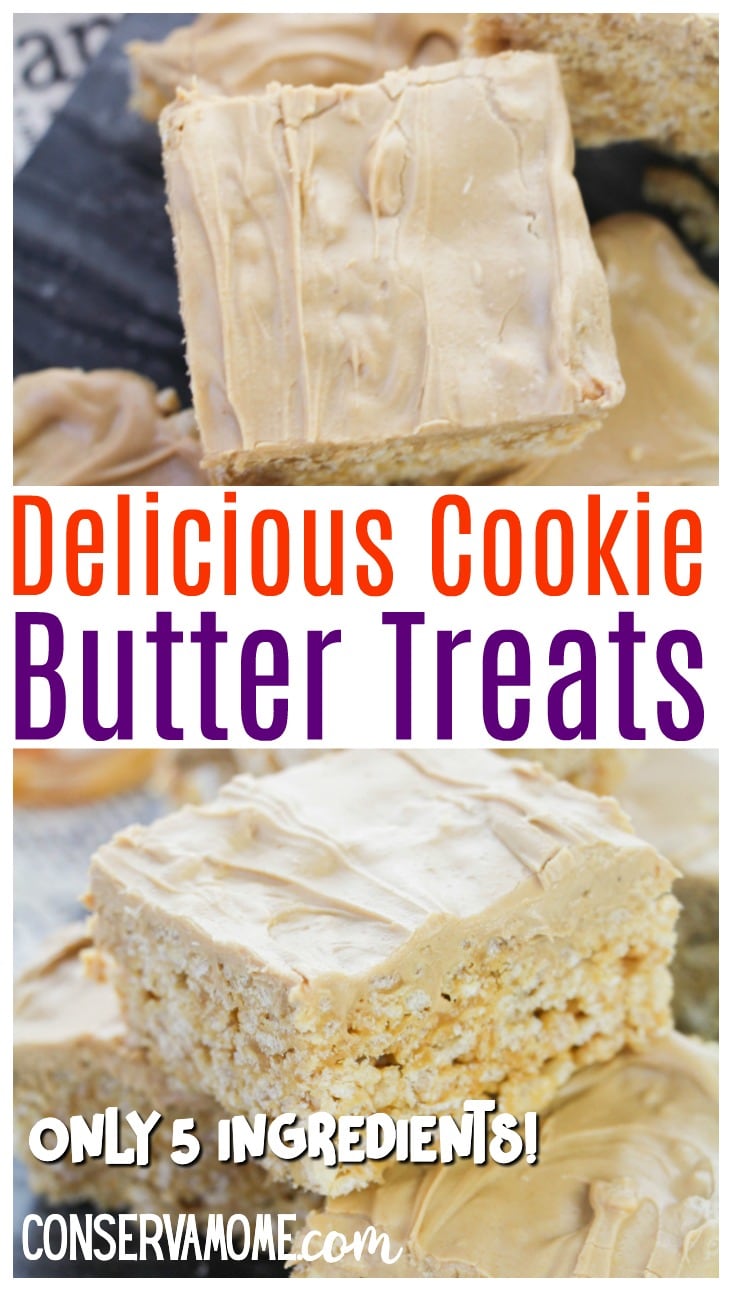 Delicious Cookie Butter bars