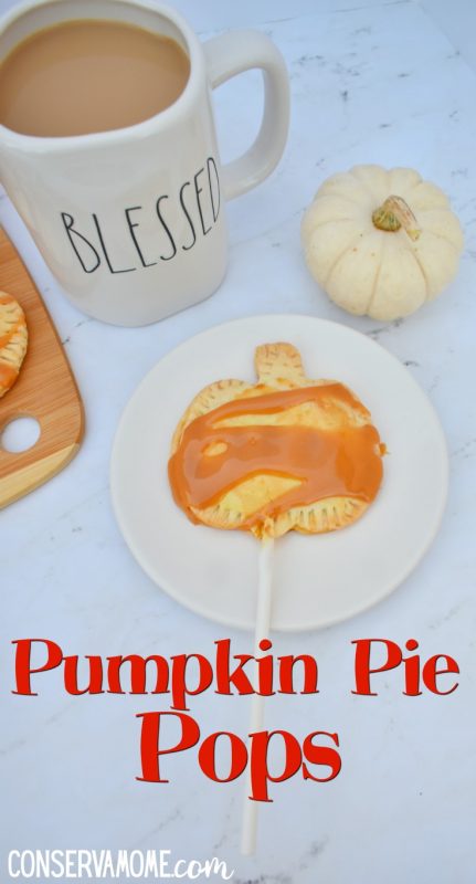 Pumpkin Pie Pops - Mini Pumpkin Hand Pies Recipe - ConservaMom