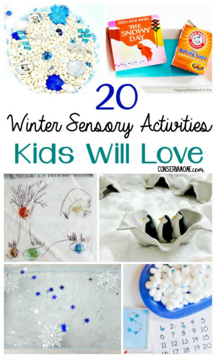 Frozen Preschool Sensory Activities- Winter Sensory Bin