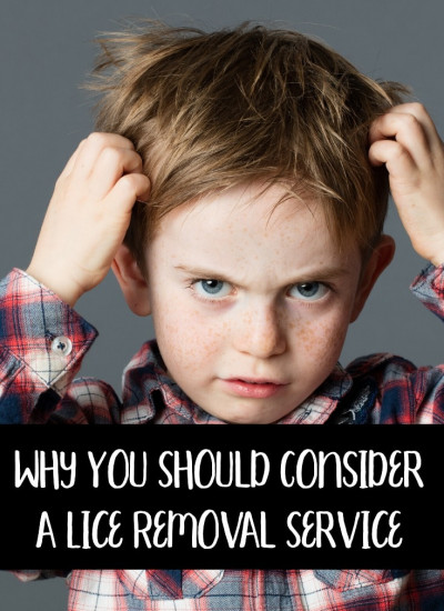 Why You Should Consider a Lice Removal Service