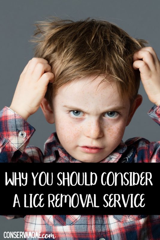 Why You Should Consider a Lice Removal Service ConservaMom