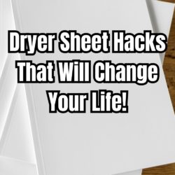 Genius Uses for Dryer Sheets