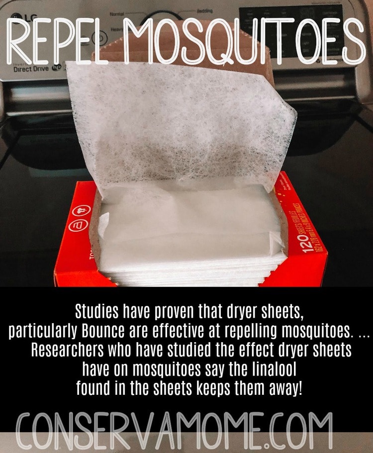 https://conservamome.com/wp-content/uploads/2020/02/how-to-repel-mosquitoes-.jpg