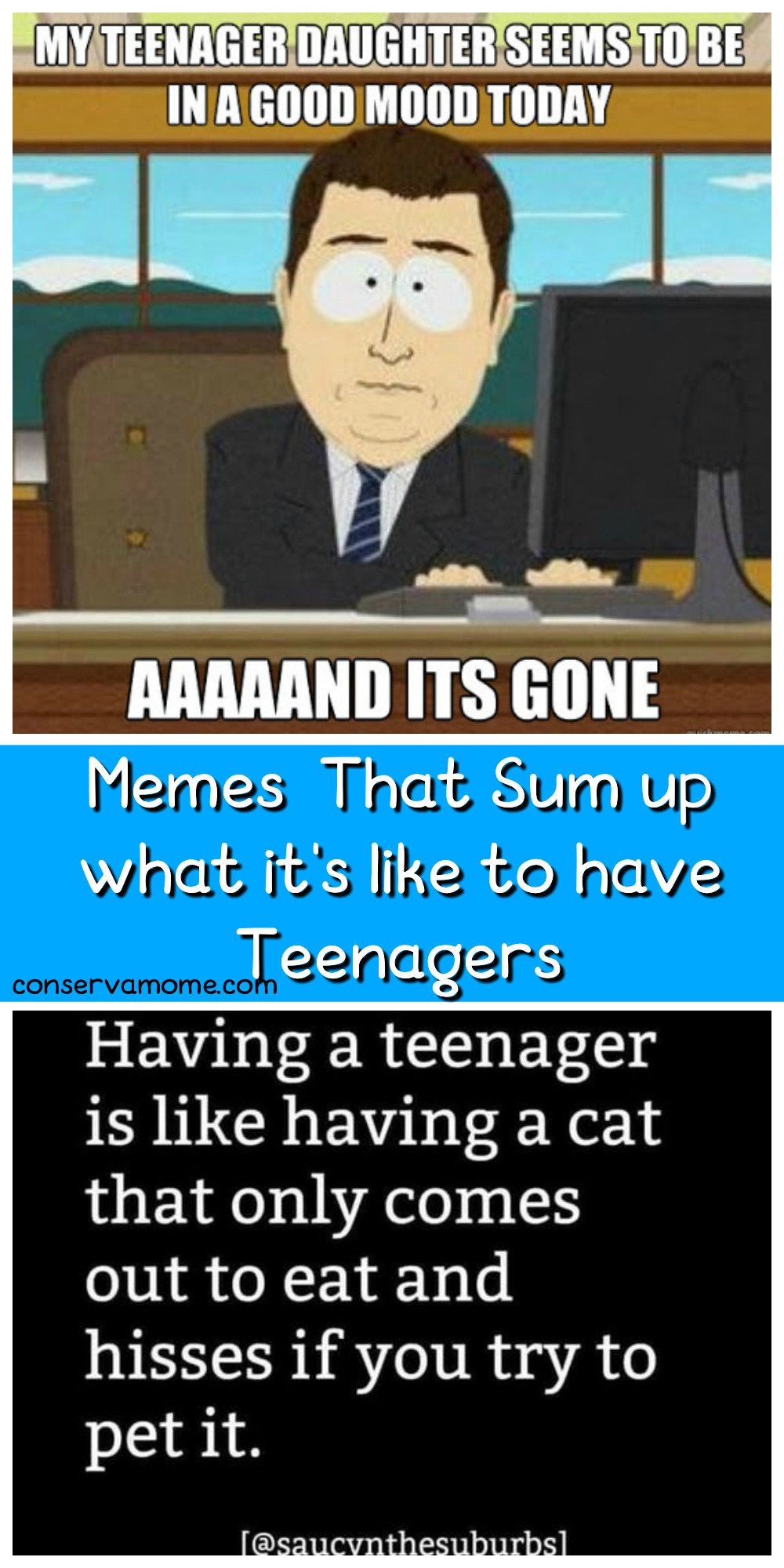 Memes that sum up what it's like to have teenagers