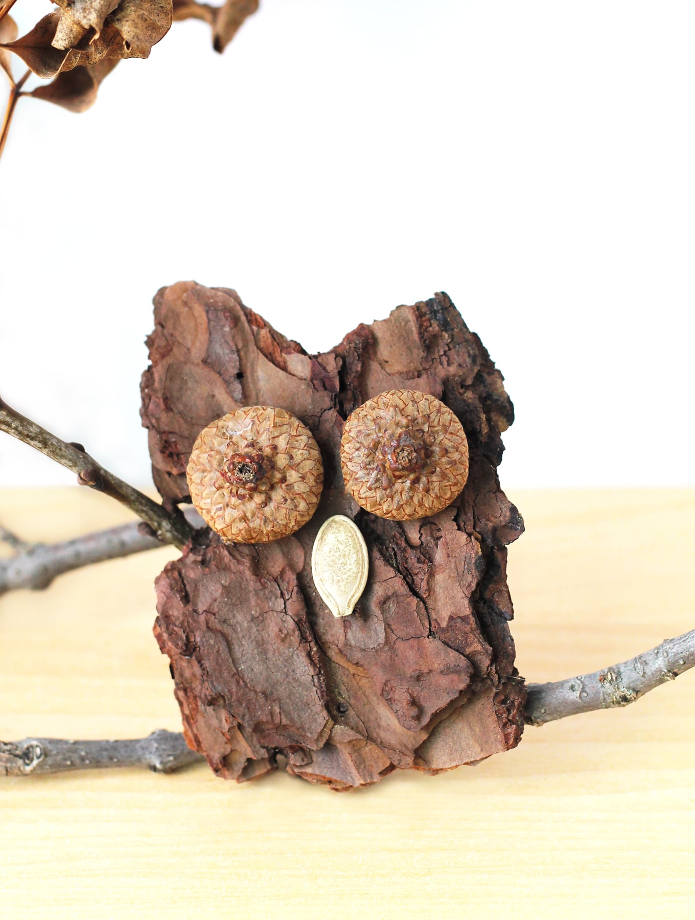 40 Creative Nature Crafts For Kids - ConservaMom