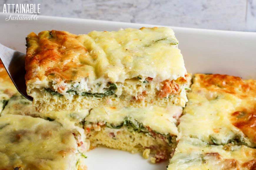 40+ Easy recipes to make with leftover ham - ConservaMom