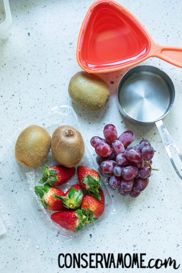 Fruit Popsicles made with Coconut Water 