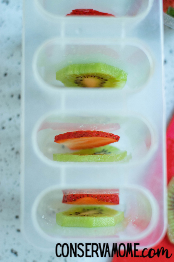 Fruit Popsicles made with Coconut Water 