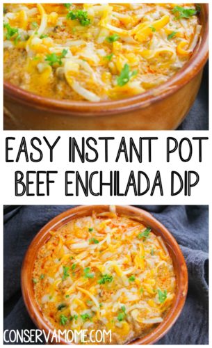 Easy Instant Pot Beef Enchilada Dip Recipe - ConservaMom