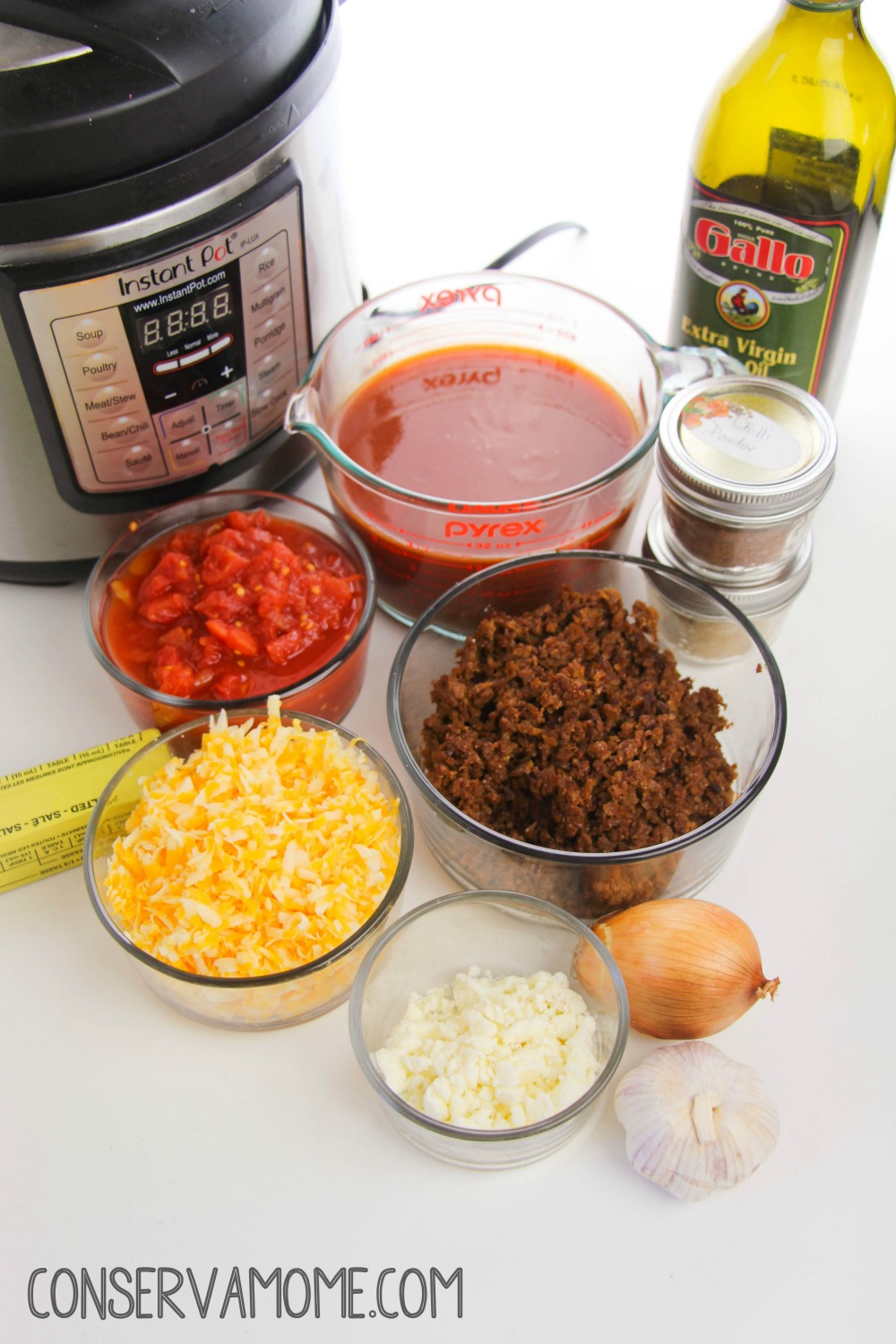 ConservaMom - Easy Instant Pot Beef Enchilada Dip Recipe - ConservaMom