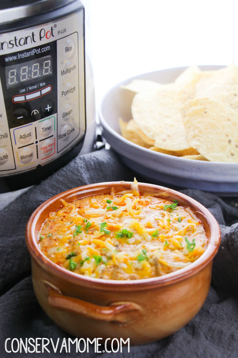 instant pot beef enchilada dip