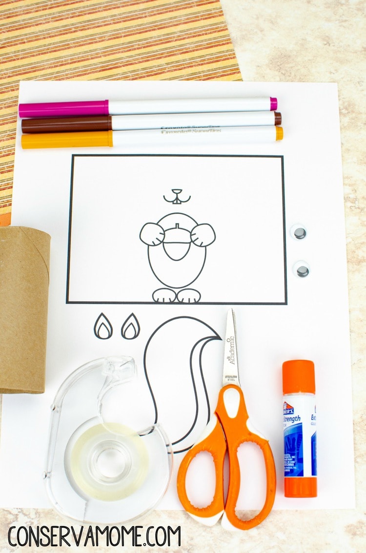 Squirrel Toilet Paper Roll Craft with Printable Template - ConservaMom