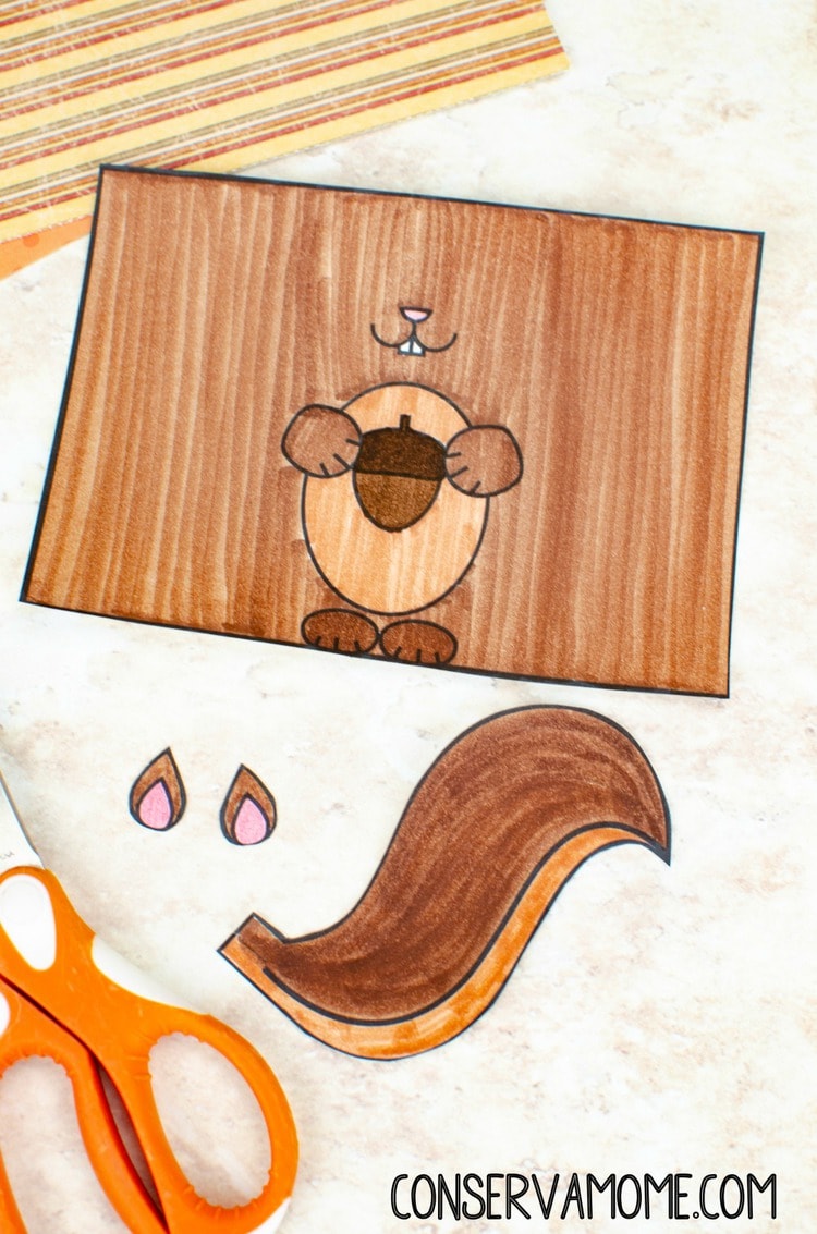 Squirrel Toilet Paper Roll Craft with Printable Template - ConservaMom