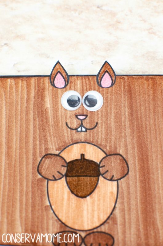 Squirrel Toilet Paper Roll Craft with Printable Template ConservaMom