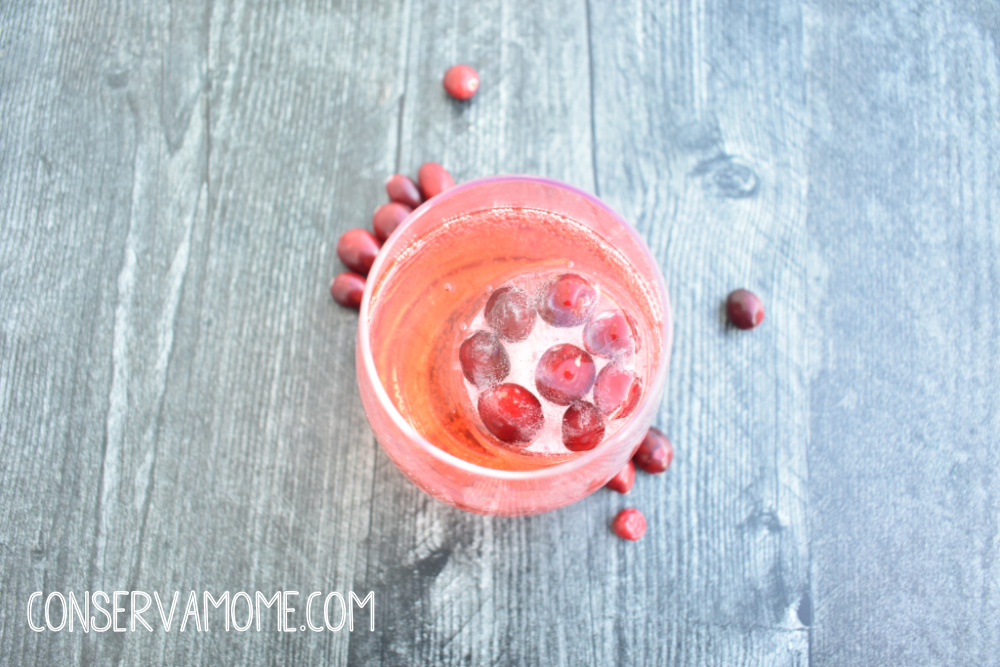 Ice mold Fun with Tovolo + Cranberry Jingle Juice Recipe + Giveaway