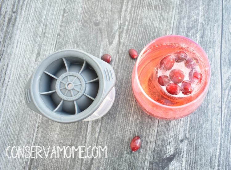 Ice mold Fun with Tovolo + Cranberry Jingle Juice Recipe + Giveaway