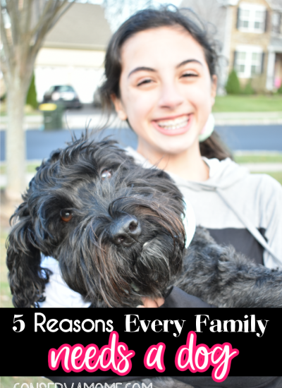5 Reasons Every Family Needs a Dog