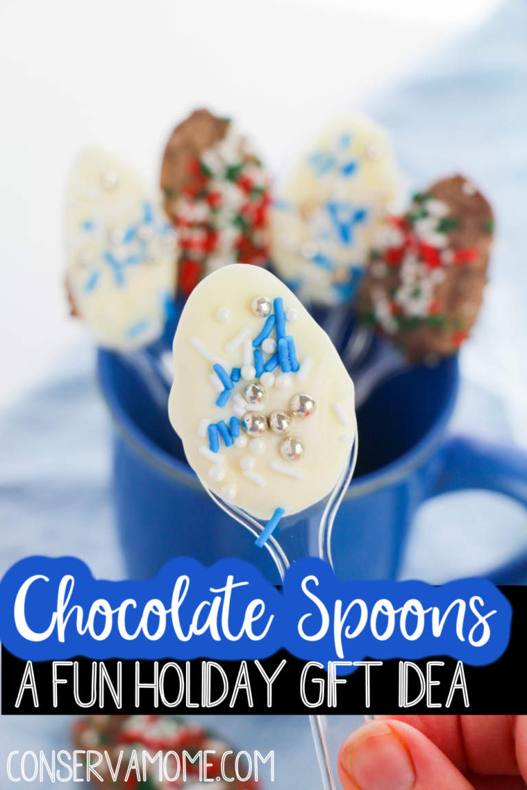 How to make Chocolate Spoons A fun Holiday Gift Idea ConservaMom