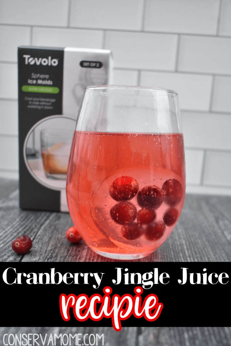 https://conservamome.com/wp-content/uploads/2020/11/cranberry-jingle-juice-drink-recipe.png