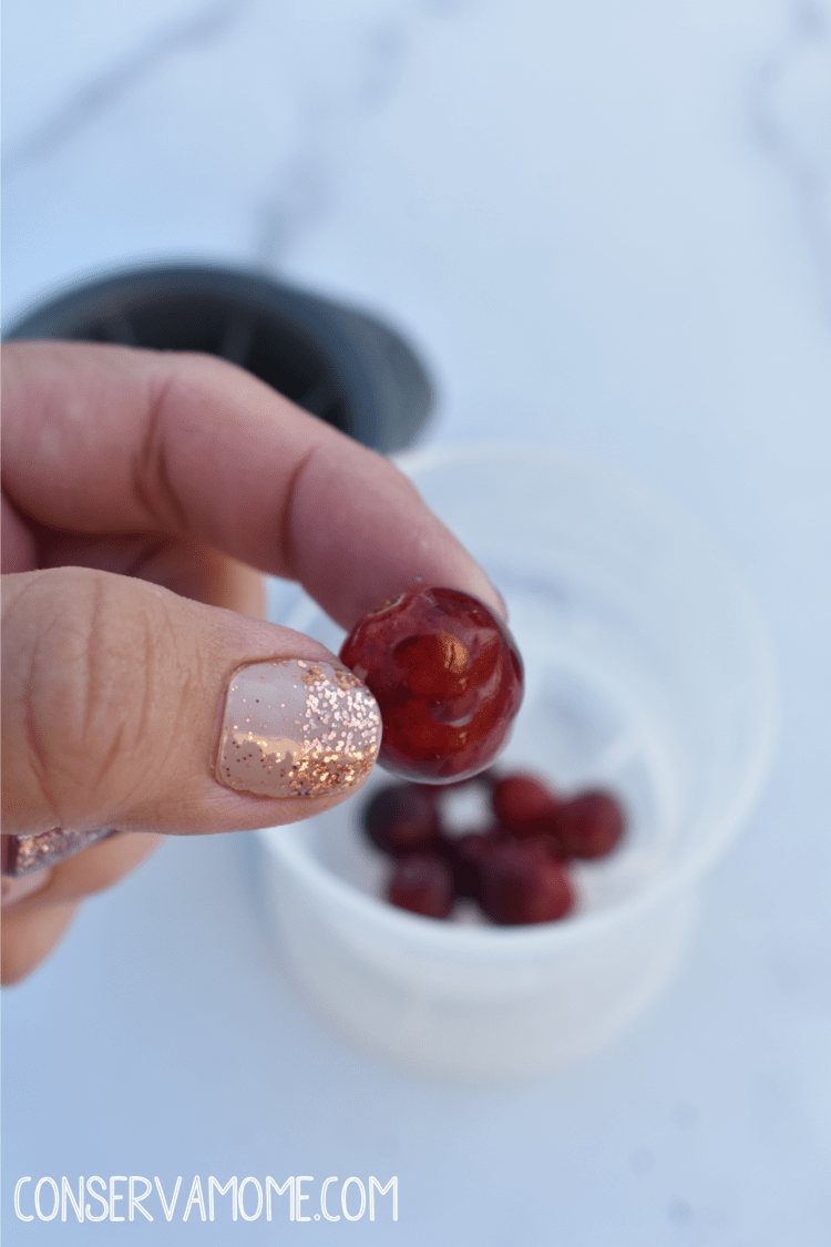 Ice mold Fun with Tovolo + Cranberry Jingle Juice Recipe + Giveaway