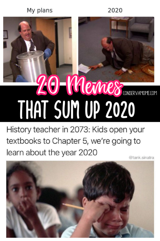 20 Memes That Sum Up 2020 Accurately - ConservaMom