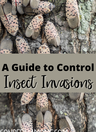 A Guide to Control insect invasions