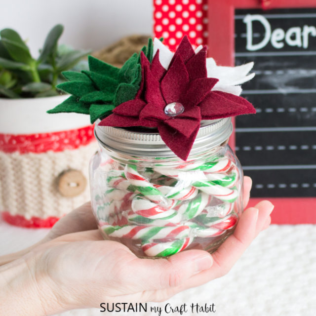 20 Awesome DIY Christmas Gift Ideas - ConservaMom