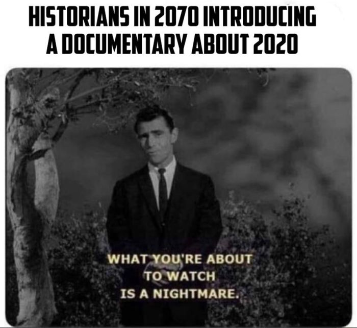 memes that sum up 2020