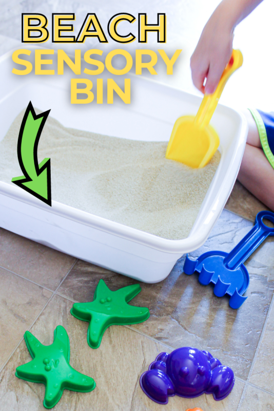 Sensory Beach Bin With Toys: Beach Themed Sensory Bin Activity