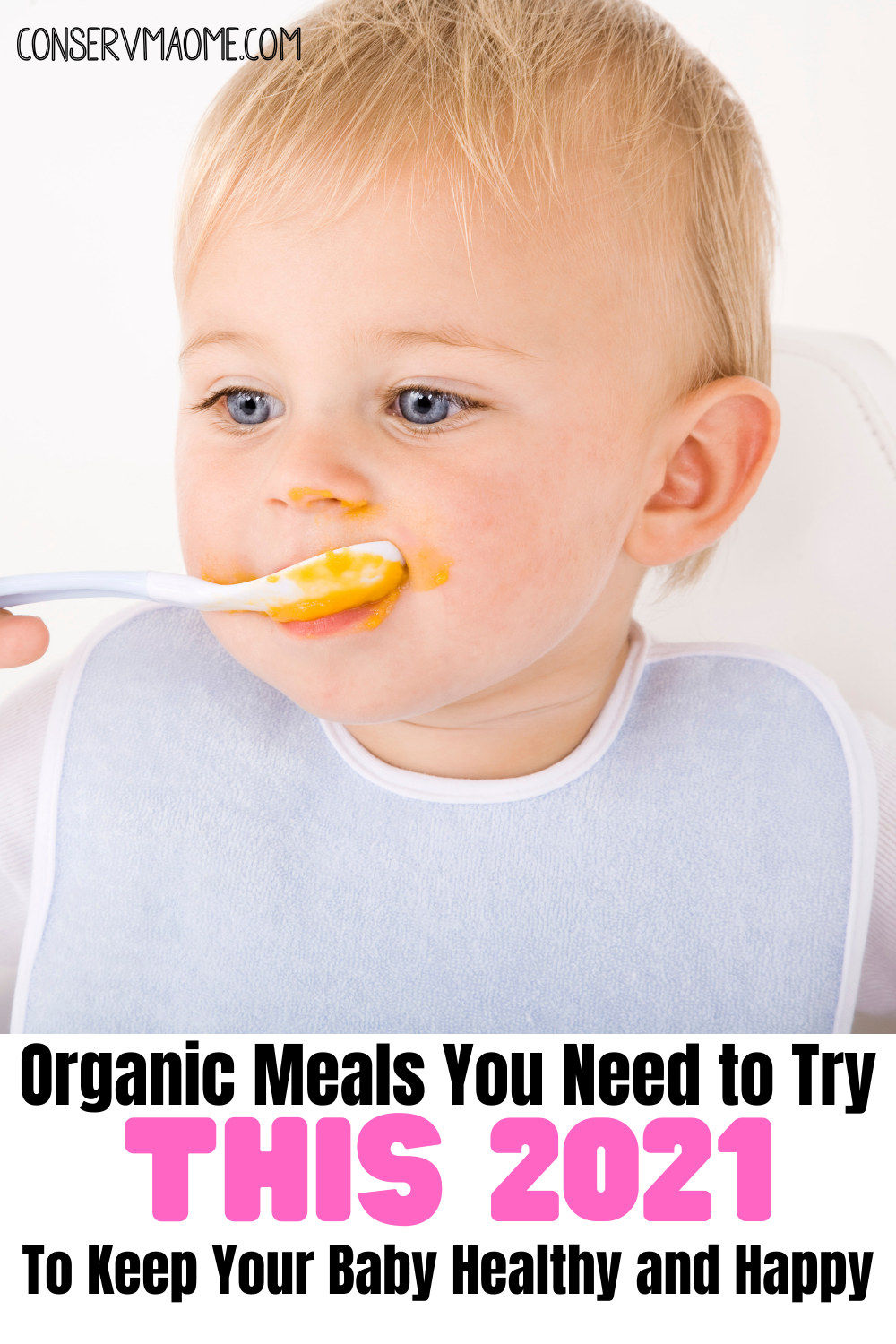 Organic meals you need to try this 2021 to keep your baby healthy and happy.