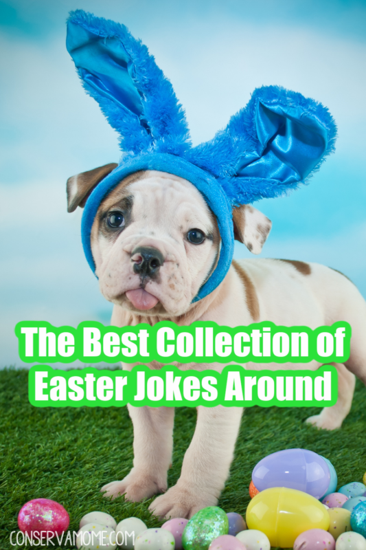The Best Collection of Easter Jokes and Riddles Around ConservaMom