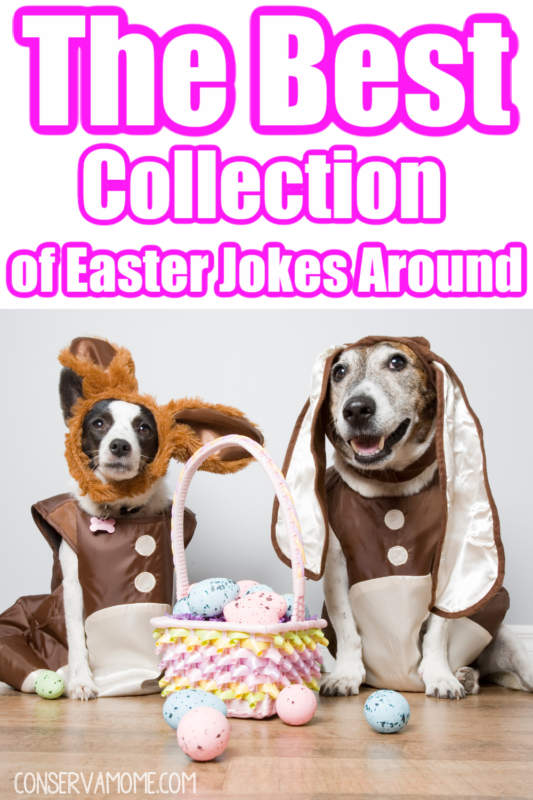 The Best Collection of Easter Jokes and Riddles Around ConservaMom