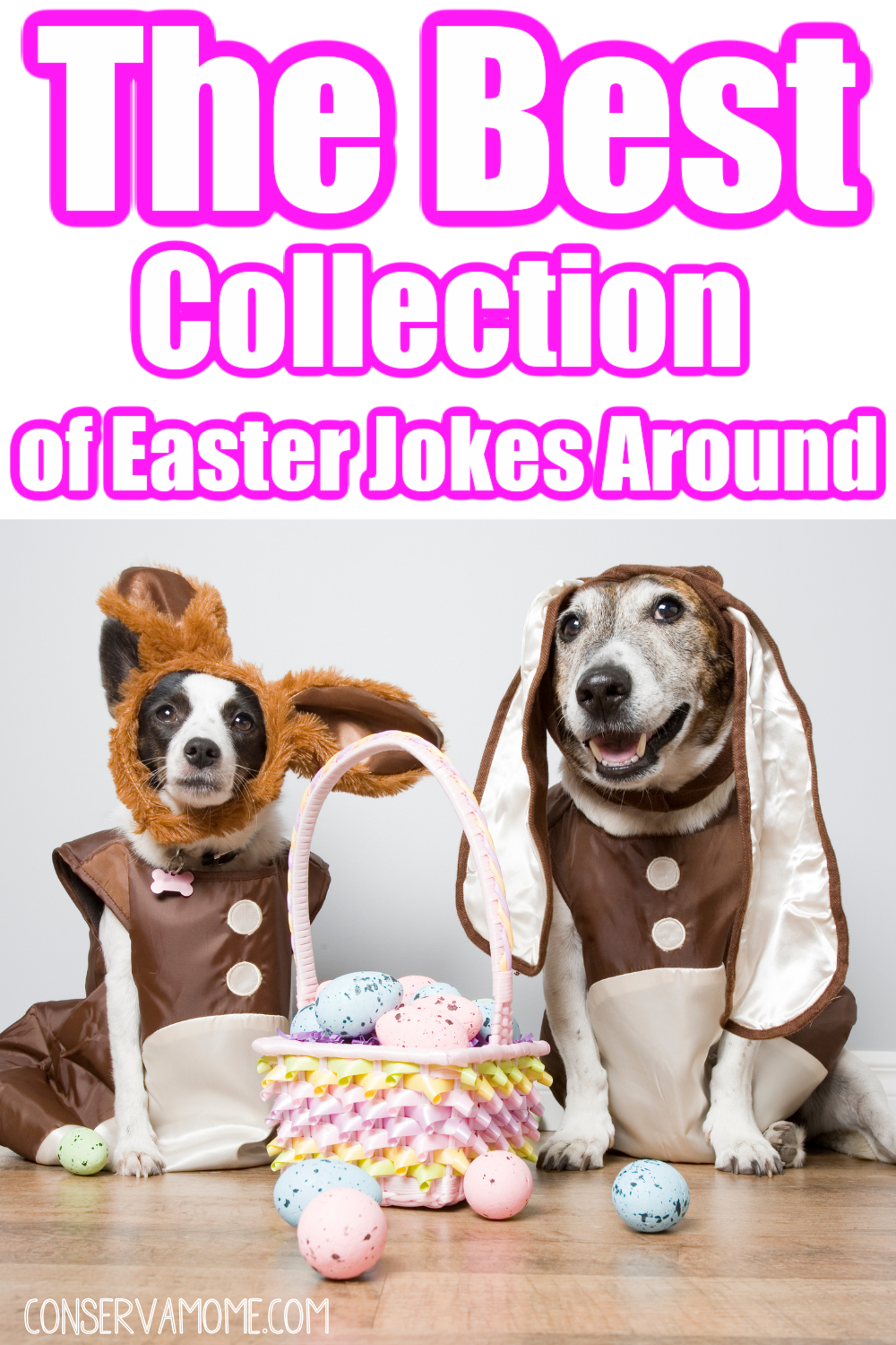The Best collection of Easter Jokes around