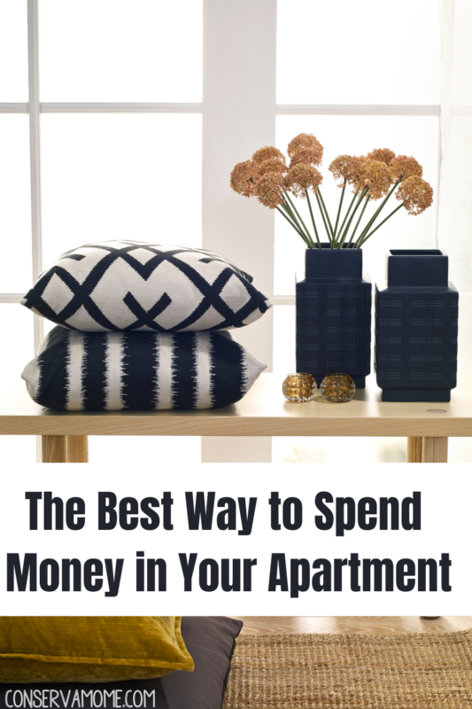 The Best Way to Spend Money in Your Apartment ConservaMom