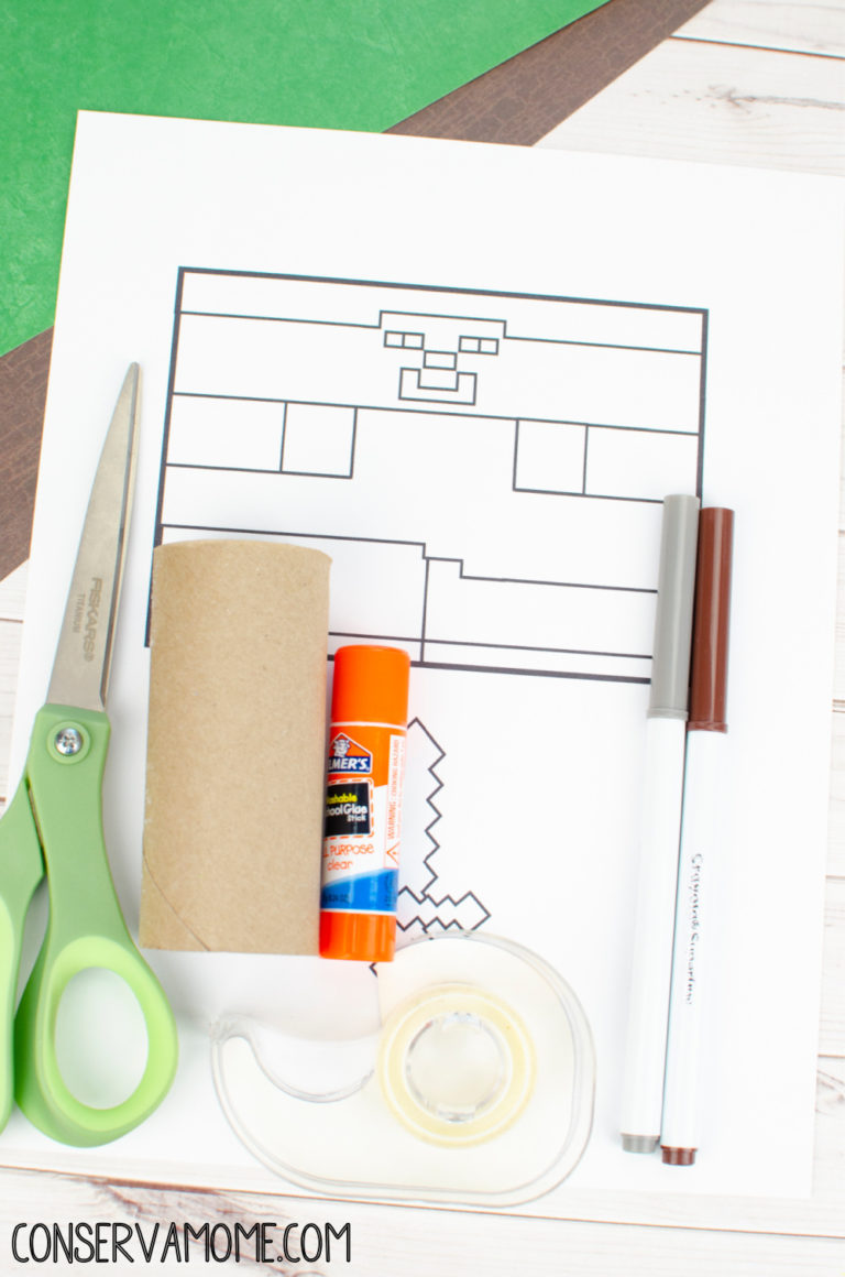 DIY Minecraft Steve Toilet paper roll craft - ConservaMom