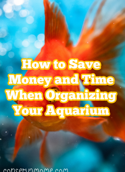 How to Save Money and Time When Organizing Your Aquarium