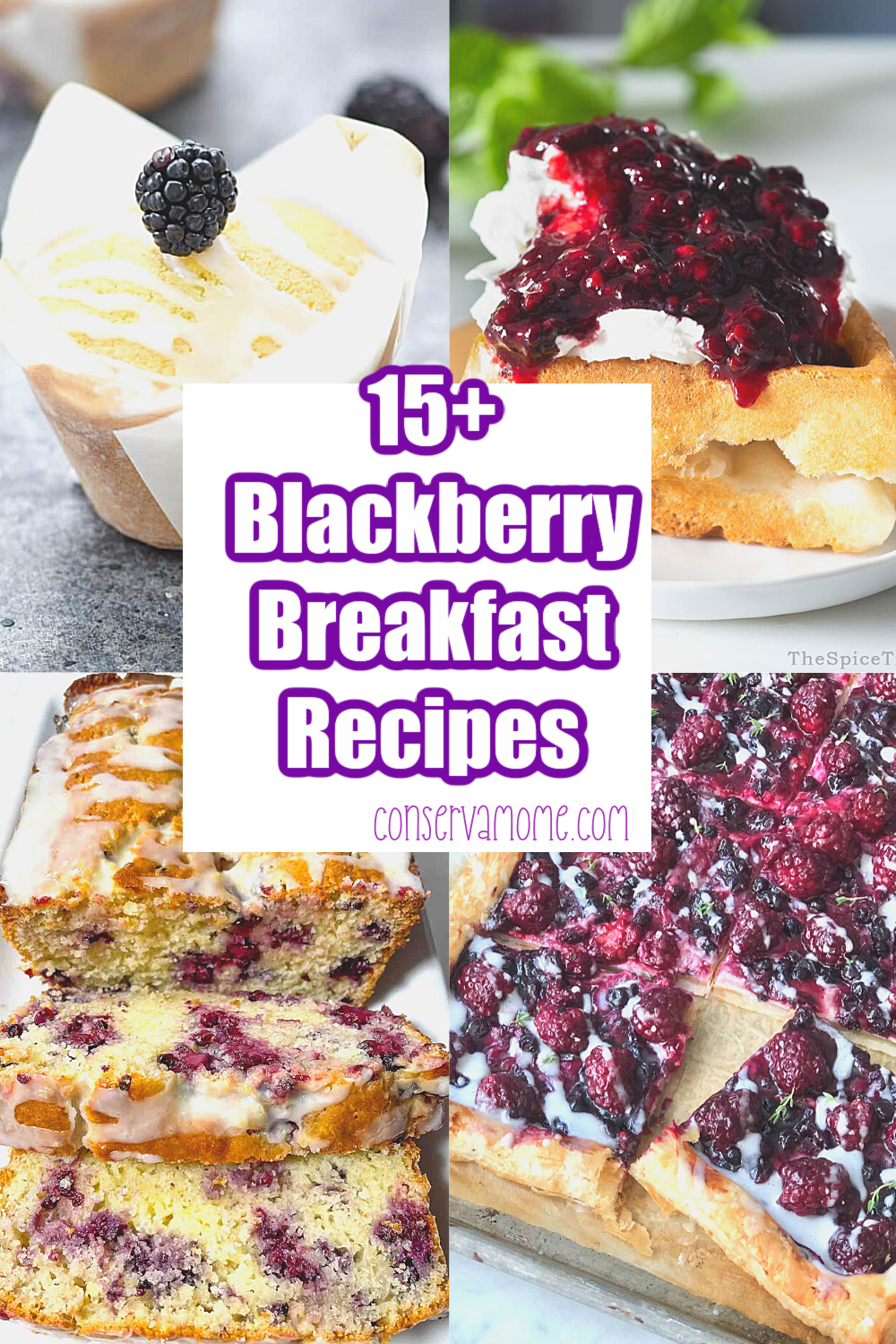 15+ Blackberry Breakfast recipes
