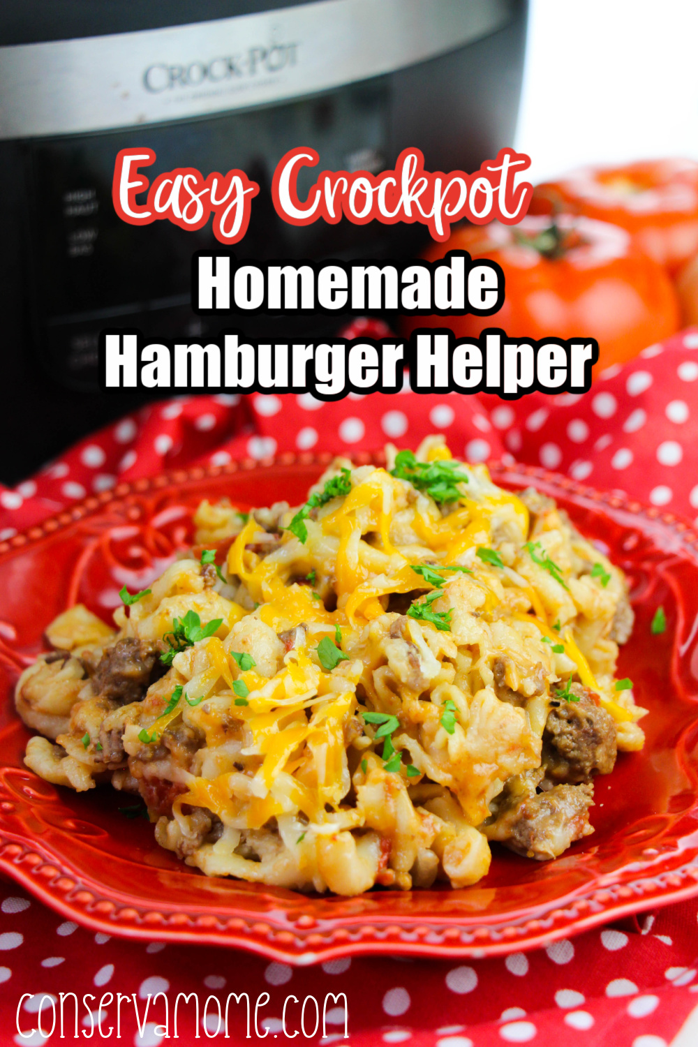 Homemade Hamburger Helper Recipe made in the crockpot! 