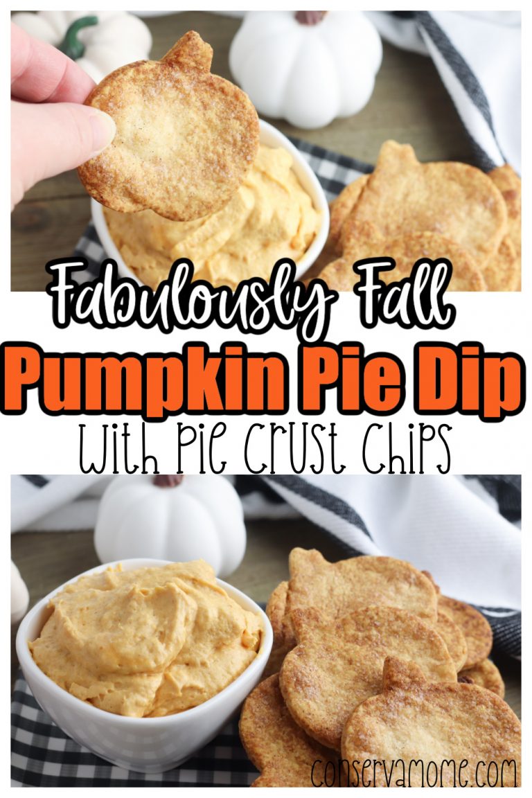 Fabulously Fall Pumpkin Pie Dip with Pie Crust Chips ConservaMom