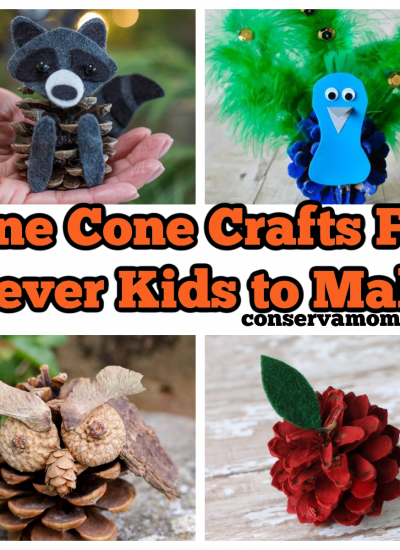 Pine Cone Crafts For Clever Kids to Make