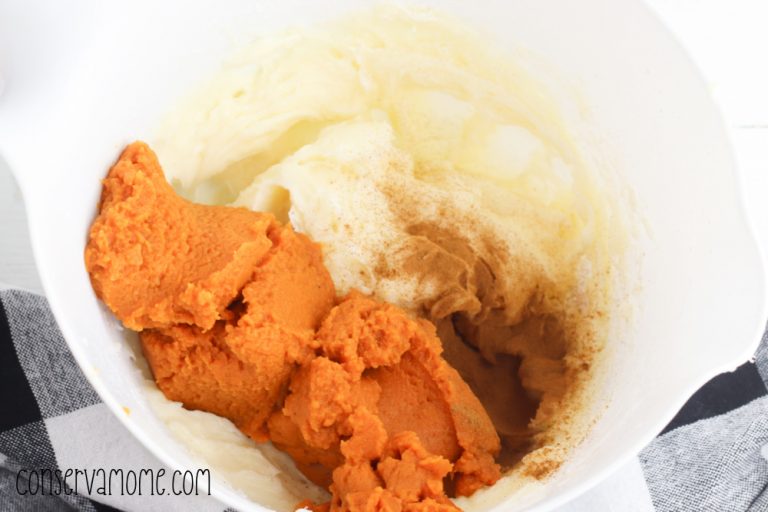 Fabulously Fall Pumpkin Pie Dip with Pie Crust Chips ConservaMom