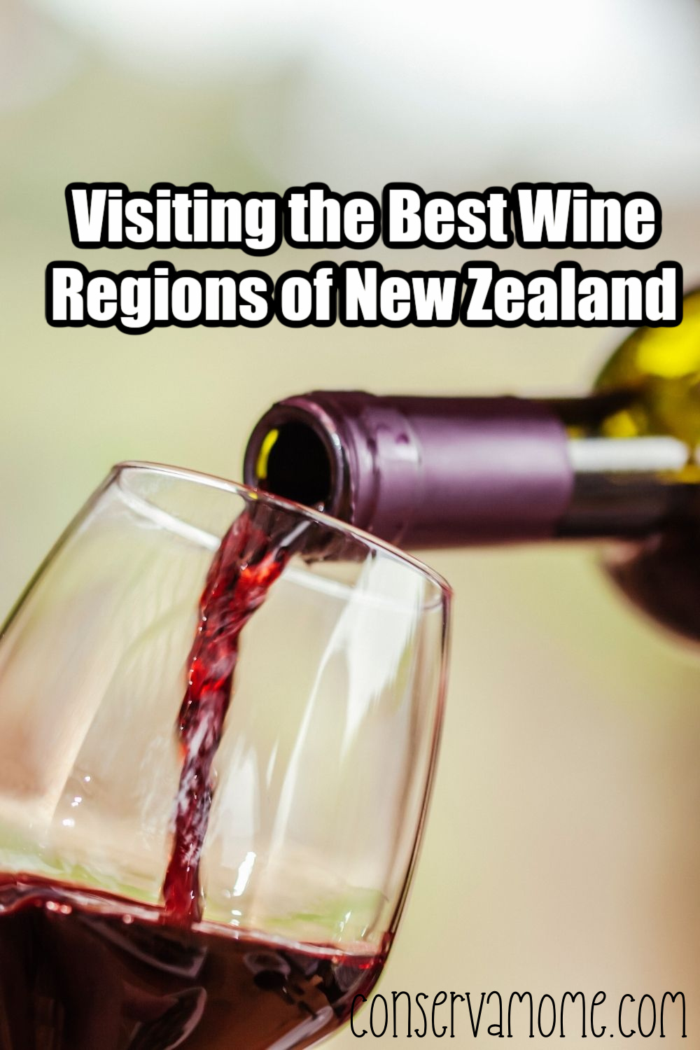 Visiting the Best Wine Regions of New Zealand