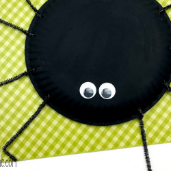 Paper Plate Spider Craft: The Perfect Spider craft for preschool