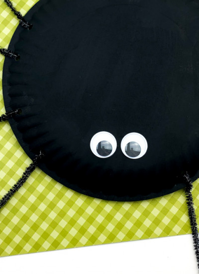 Paper Plate Spider Craft: The Perfect Spider craft for preschool