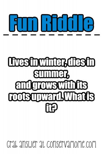 Riddles For Teens - ConservaMom