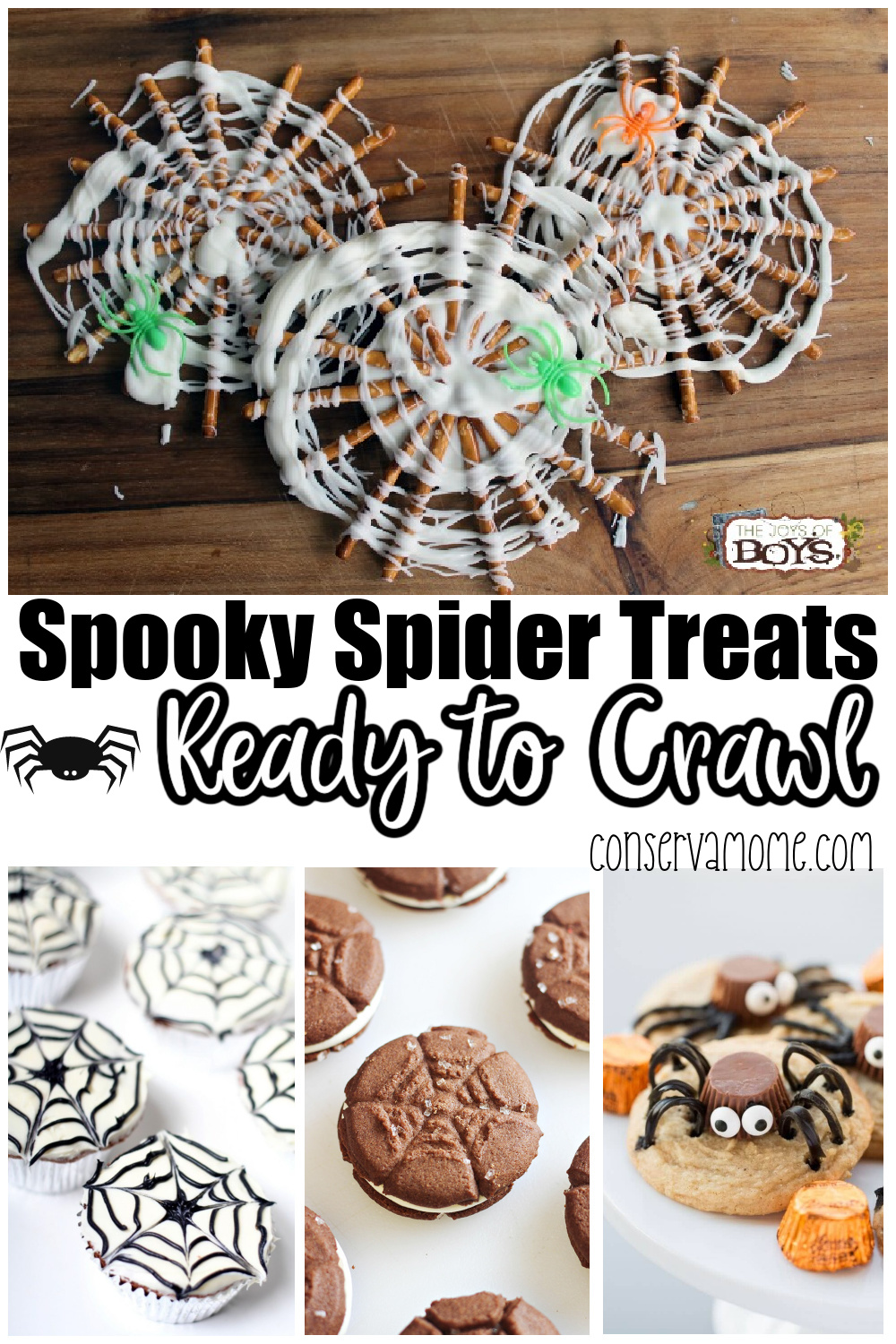 Spooky Spider Treats Ready to Crawl